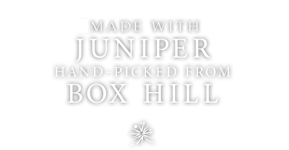 English grown Juniper berries from box hill
